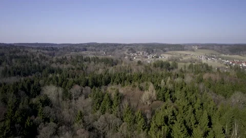 5k HDR Aerial View of Pine Forest in Bavaria, Moosach 10Bit Stock Footage 179408405