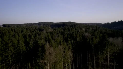 5k HDR Aerial View of Pine Forest with Hunter's Stand in Bavaria 10Bit Stock Footage 179449987