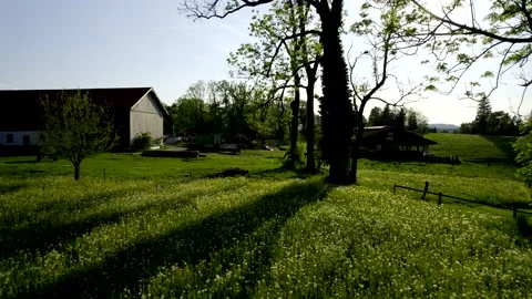 5k HDR of Spring Meadow moving to Trees 10Bit Stock Footage 198514239