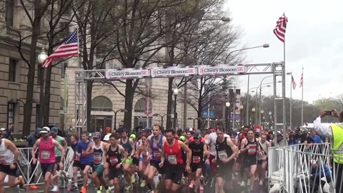 5K START - SATURDAY OF 5K AT THE CHERRY BLOSSOM RACE WEEKEND IN D.C. Stock Footage 237719783