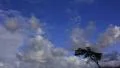 5K Timelapse Clouds 13 Forest 4k or 4k+ Resolution