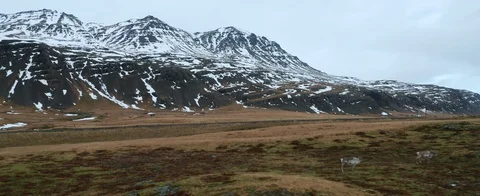 5K Winter Aerial of Deer Running in Iceland Stock Footage 107037553