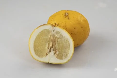 5L7A4082 Stock Photos