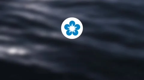 5O Clean &amp; Minimal Lower Thirds folder Modèle After Effects