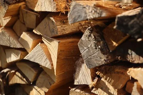 5O7A1014Stack of wooden logs prepared by farmers Stock Photos
