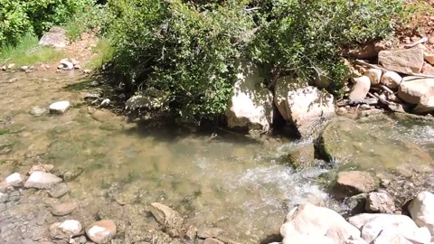 5th Waters Hike Stream Stock Footage 150980828