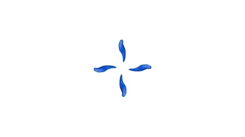 6 in 1 Splash explosions animated Clay elements. 4K. Set 9 Stock Footage 73432084