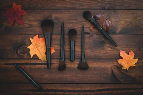 6 assorted makeup brushes displayed on a brown rustic background. Stock Photos