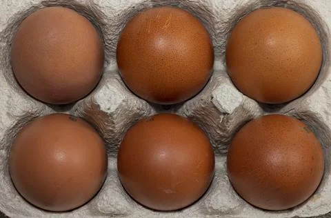6 Class A Free Range Maran eggs Stock Photos