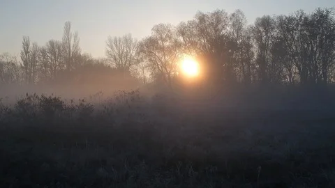 6 dawn of deep autumn. almost spring. Hoarfrost and fog in the forest Video stock 115690928
