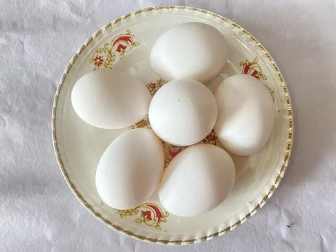 6 egg with plate 写真素材