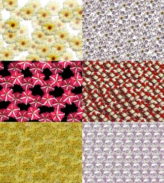 6 floral backgrounds Stock Illustration