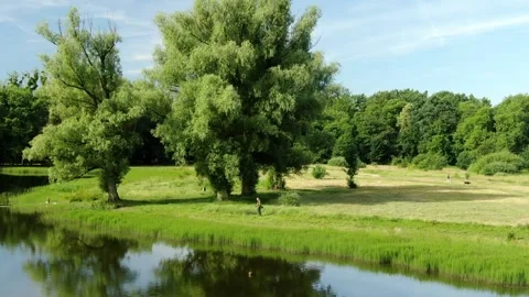 6 flying a drone over a field and lake, road in a field, forest, lawnmower Stock Footage 267404330