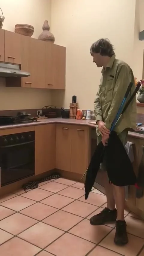 6 Foot Carpet Python in Kitchen, Noosa Heads, Queensland, Australia - 01 Jun 201 動画素材 205250645