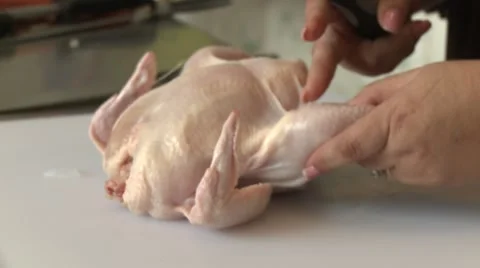 6 Stock Footage 919302