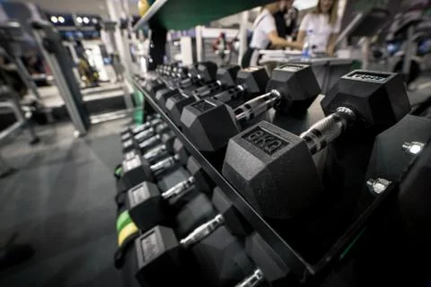 6 kilogram training one hand weight placed on shelf in gym Stock Photos