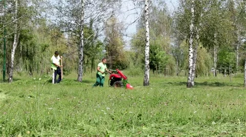 6. Mowers mowing the lawn. Cutting grass with lawnmower. Tracking shot. Stock Footage 41745575