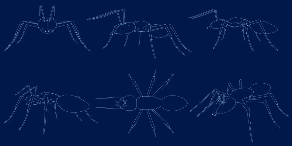 6 Set Ant Vector Line Art Illustrations. Stock Illustration