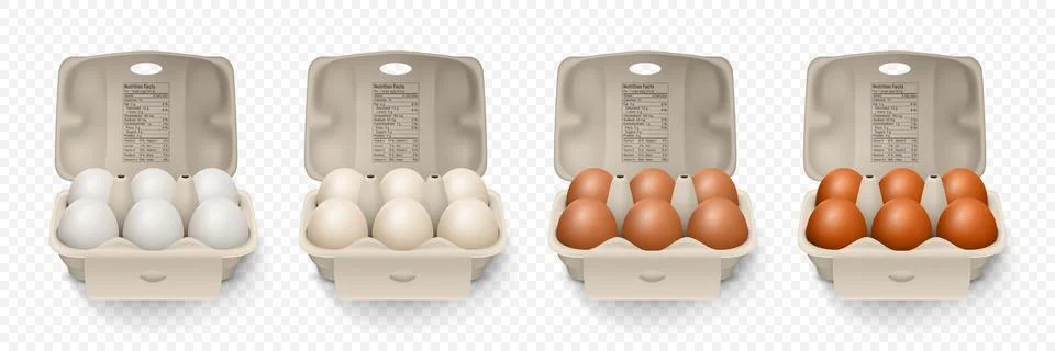 6 Six Vector 3d Realistic White, Brown Chicken Eggs in Opened Carton Paper Box Stock Illustration