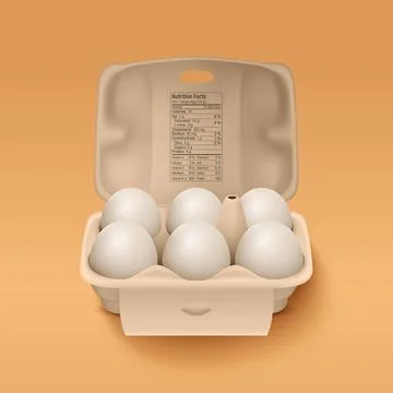 6 Six Vector 3d Realistic White Chicken Eggs in Opened Carton Paper Box Illustrazione stock