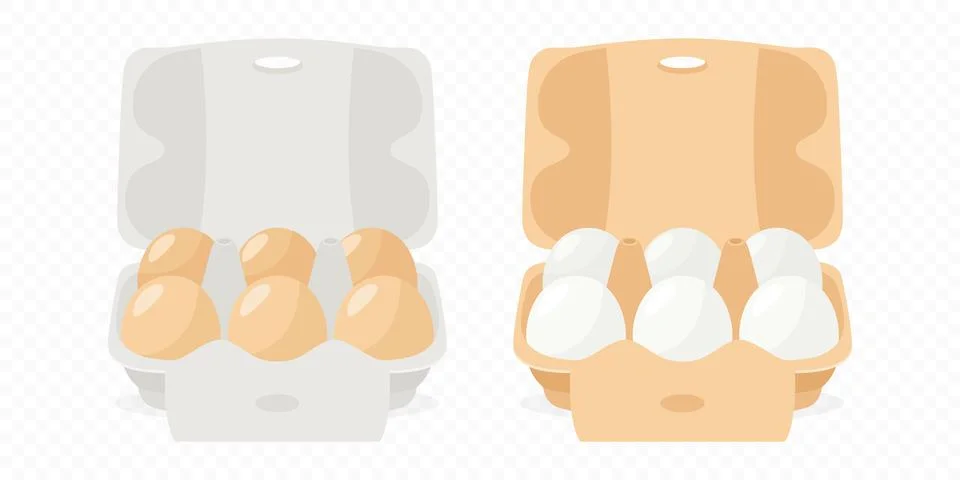 6 Six Vector White and Brown Chicken Eggs in Opened Carton Paper Box, Container Stock Illustration