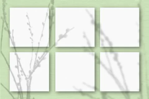 6 square sheets of white textured paper on the light green wall background. M Stock Illustration