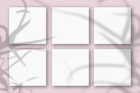 6 square sheets of white textured paper on the pink wall background. Mockup o Stock Illustration