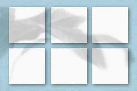 6 square sheets of white textured paper on the blue wall background. Mockup o Stock Illustration