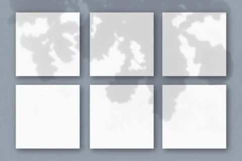 6 square sheets of white textured paper on the grey wall background. Mockup o Stock Illustration