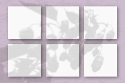 6 square sheets of white textured paper on a pastel lilac wall. Mockup overlay Stock Illustration