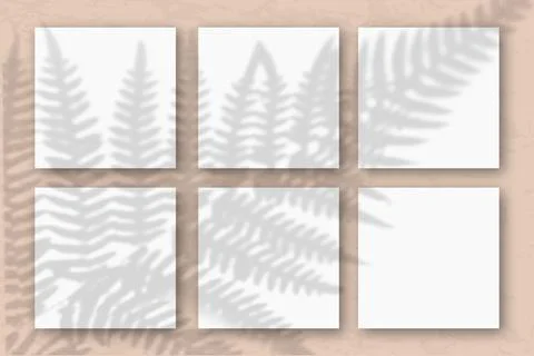 6 square sheets of white textured paper on the sand-colored wall. Mockup overlay Stock Illustration