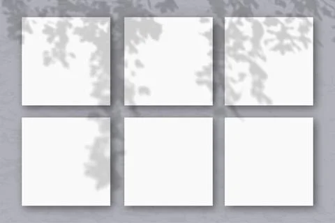 6 square sheets of white textured paper against a gray wall. Mockup overlay with Stock Illustration