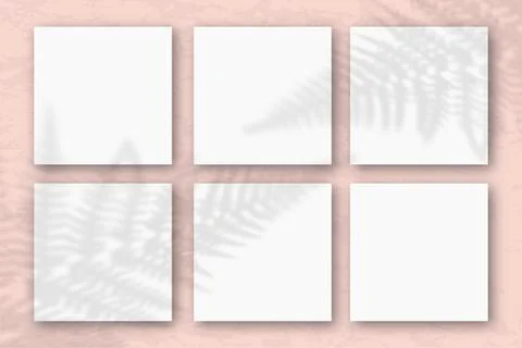 6 square sheets of white textured paper on the pink wall background. Mockup with Stock Illustration