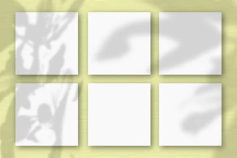 6 square sheets of white textured paper on the yellow wall background. Mockup Stock Illustration