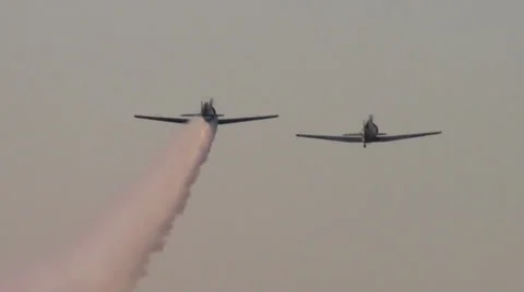 AT-6 Texan's Formation Climbing Vidéo 29730275