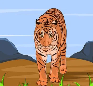 6. tiger Stock Illustration