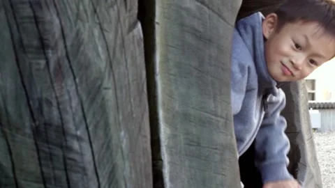 6 year old Asian boy climbing out of a hole in a tree Stock Footage 219106925