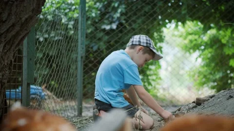 A 6-year-old boy plays in the farmhouse next to the chickens. Stock Footage 136083375