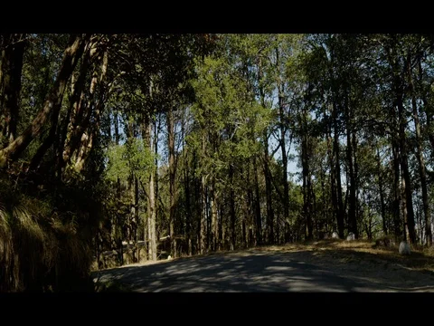 60 fps Slow Motion of Motorcycle Road Trip Passing Through Villages In India Stock Footage 73006889