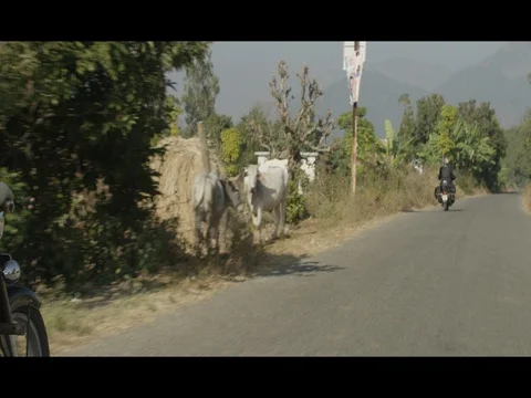 60 fps Slow Motion of Motorcycle Road Trip Passing Through Villages In India Stock Footage 73008195
