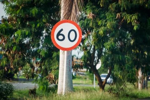 60 traffic sign Stock Photos