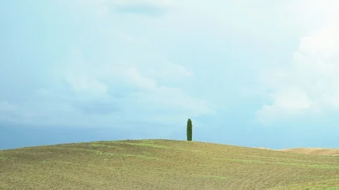 6050 Beautiful view on tuscan fall landscape with a lonely cypress tree in th Stock-Footage 98731260