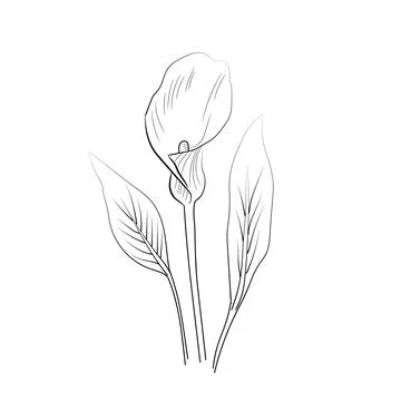 606 Stock Illustration