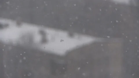 613 0662 01 1 Stock Footage 101663244