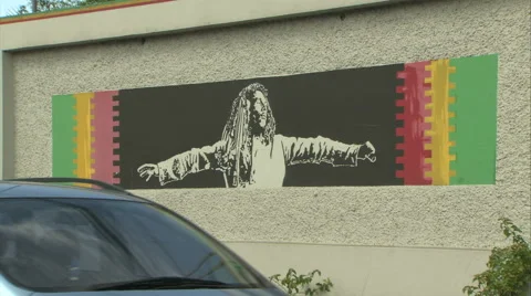 6210 mural on wall outside of Bob Marley Museum, Kingston Video stock 50449685