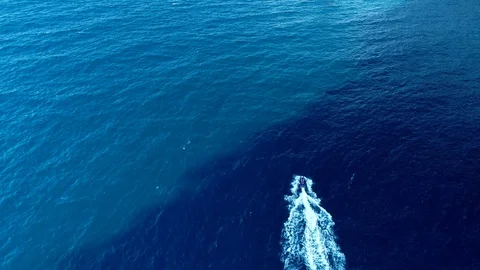 623 Speeding Jet ski on the blue sea and white gulls flying above Stock Footage 94408981