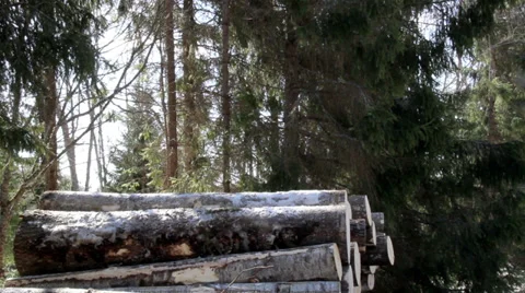628 more snow covered logs are added in the pile Stock Footage