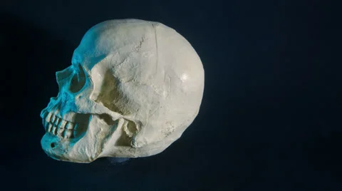 63 Skull turning around Stock Footage 33935504