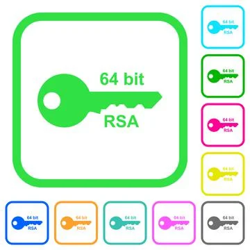 64 bit rsa encryption vivid colored flat icons Stock Illustration