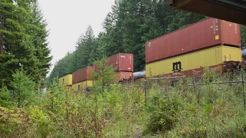 6465Long Freight Train With Stacked Shipping Containers On Rails Through Foreste Stock Footage 319716849